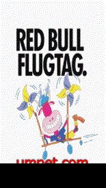 game pic for Red Bull FlugTag